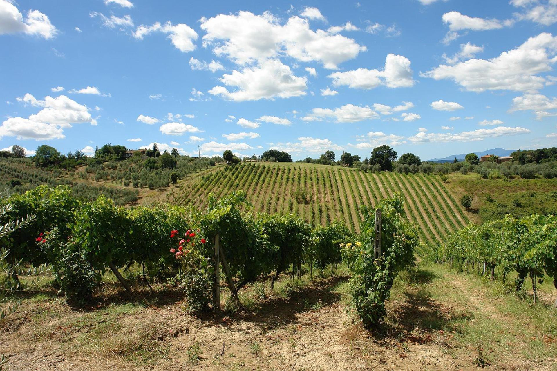 Appartamento Piè di Costa Montaione Esterno foto